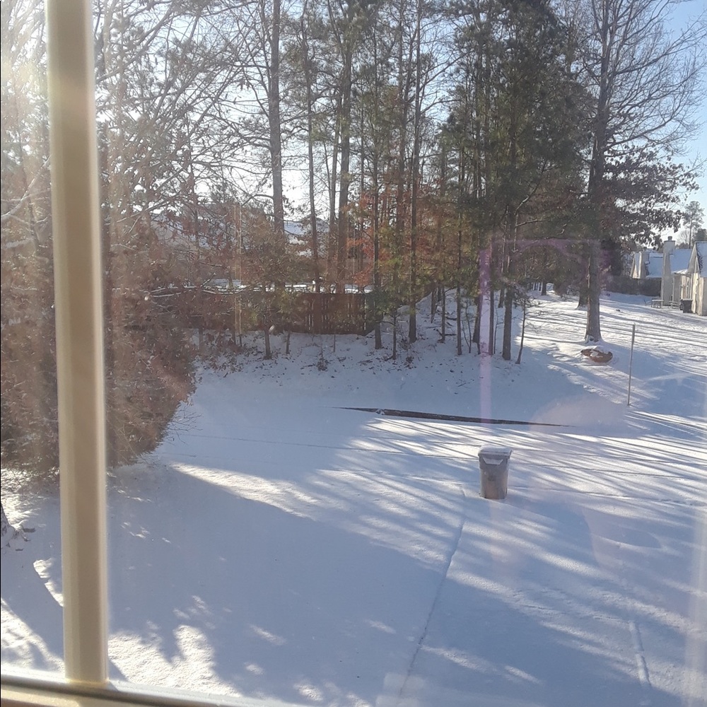 Meet your Posher, Antoinette